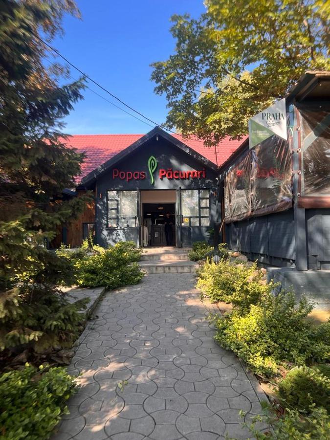 雅西 Complex Popas Pacurari酒店 外观 照片